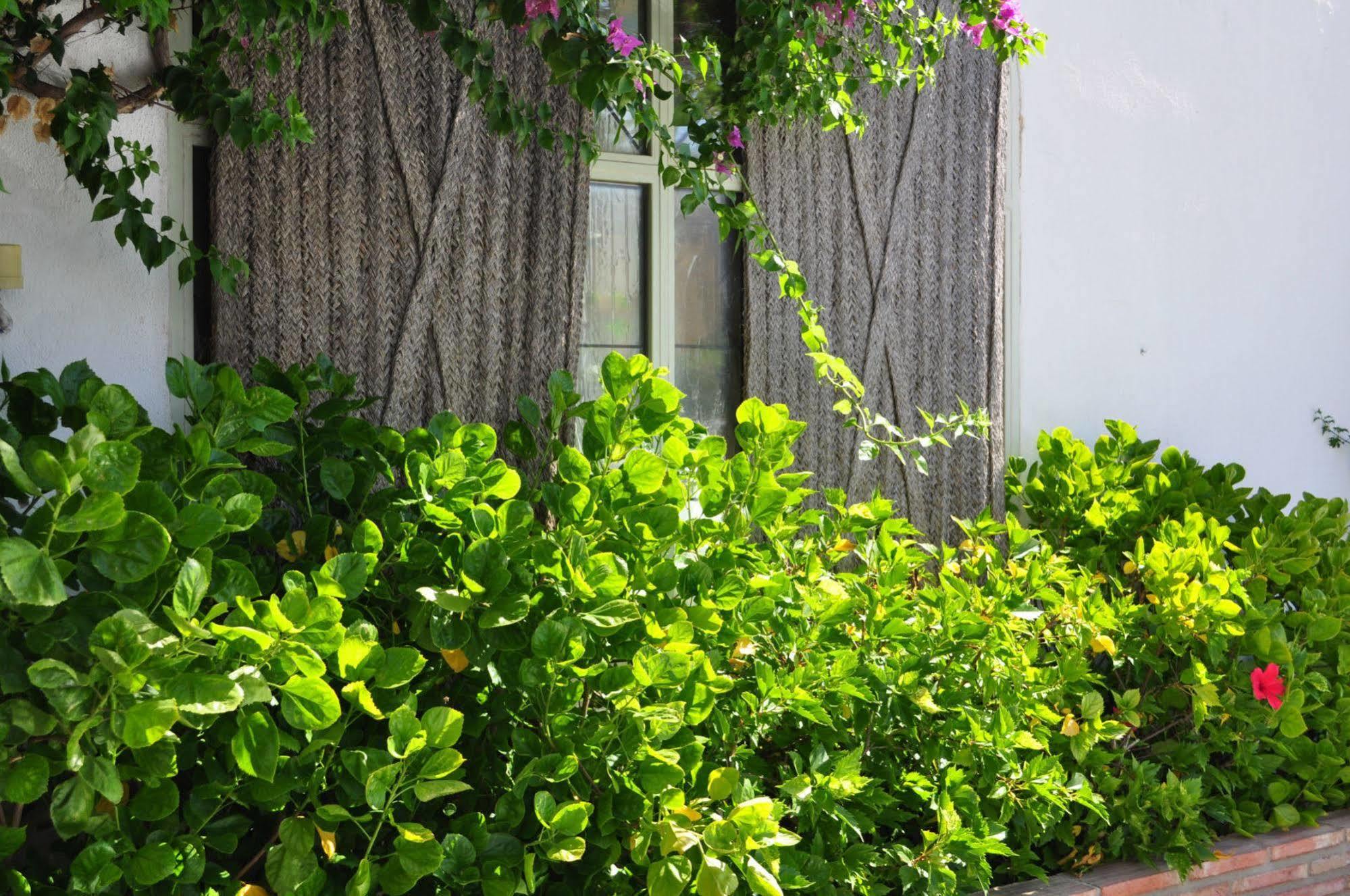 Oasis Hotel Cordoue